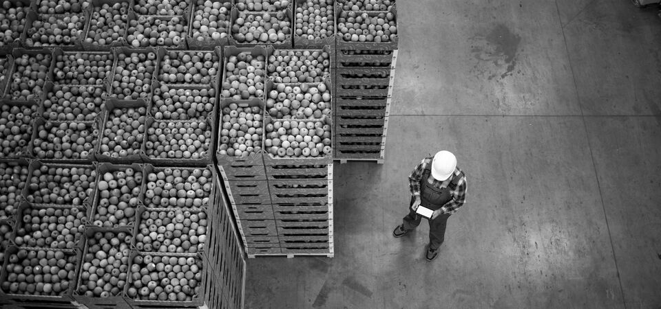 SINGLE-IMAGE_apples-in-a-warehouse-man-hard-hat_may24
