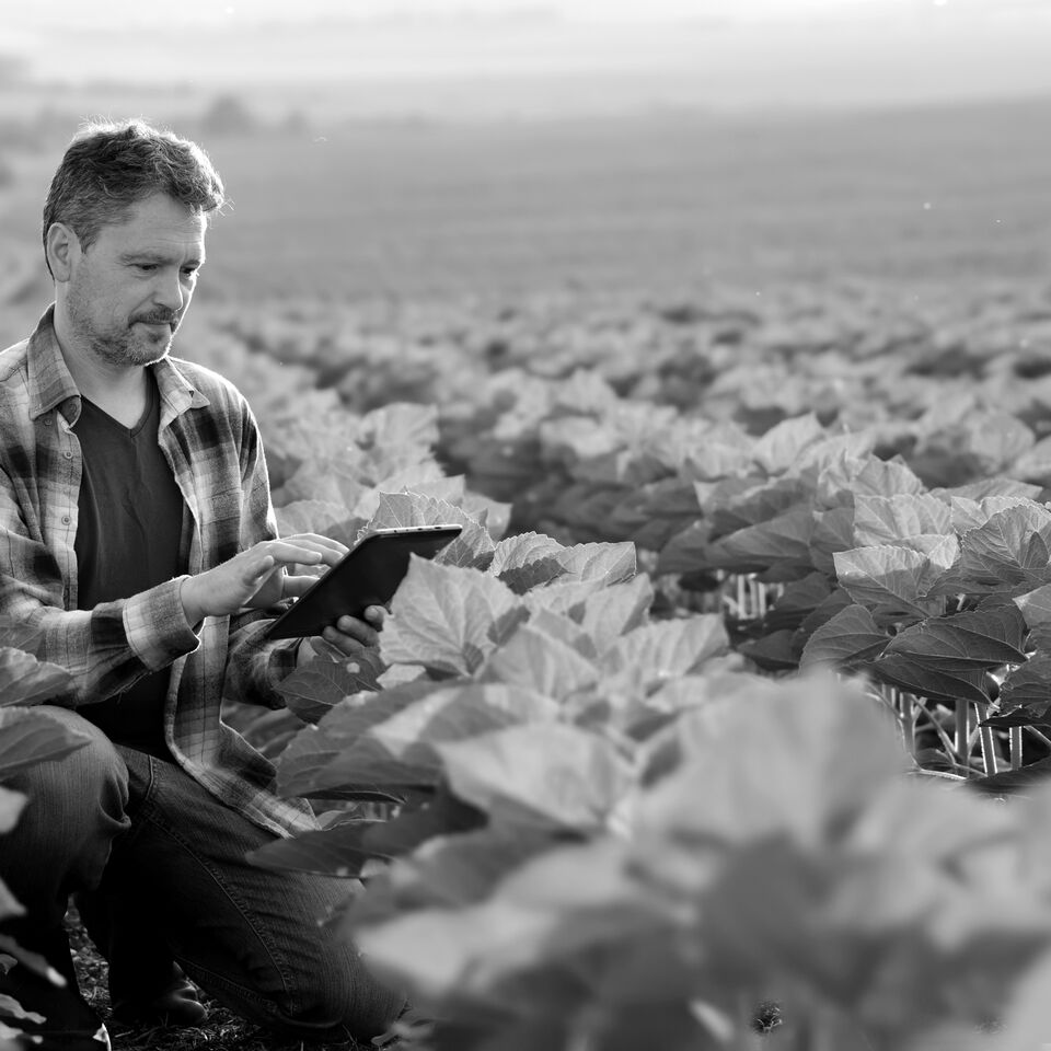 SINGLE-IMAGE_man-tablet-crops_aug23