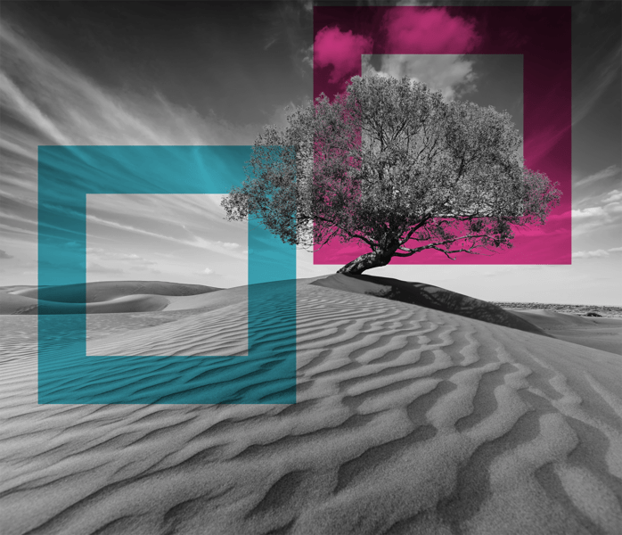 /bynder:54253227-7BC2-46CF-9628F65CAA9C0F42/SINGLE-IMAGE_squares-tree-in-desserted-land_may25.png?1749636575000